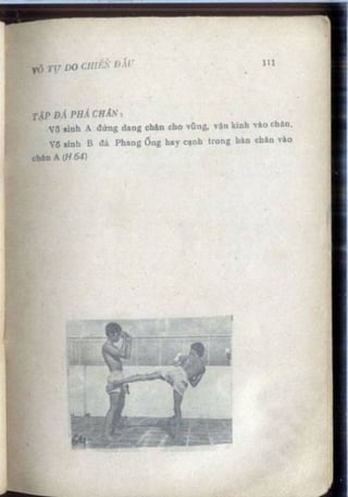 Võ tự do chiến đấu