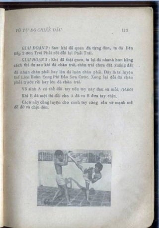 Võ tự do chiến đấu