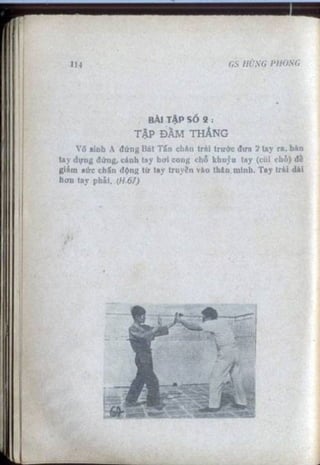 Võ tự do chiến đấu