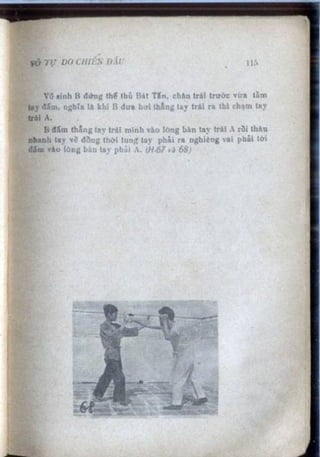 Võ tự do chiến đấu