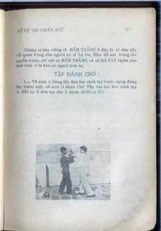 Võ tự do chiến đấu