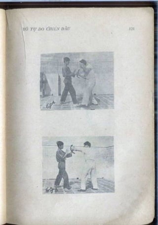 Võ tự do chiến đấu