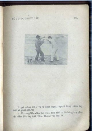 Võ tự do chiến đấu