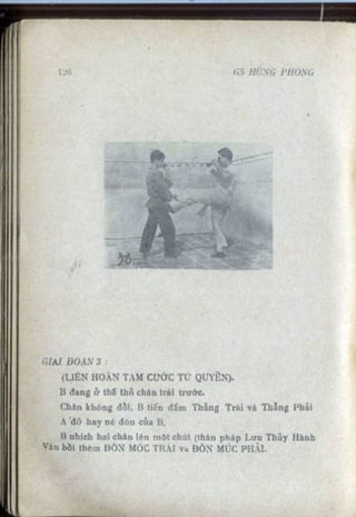 Võ tự do chiến đấu