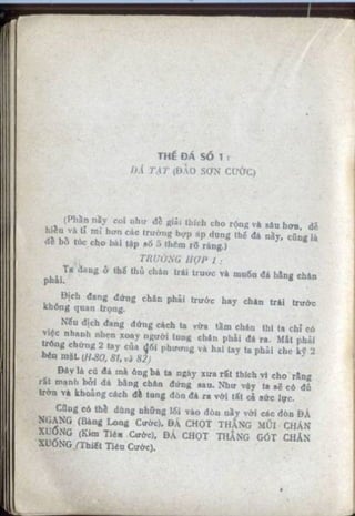 Võ tự do chiến đấu