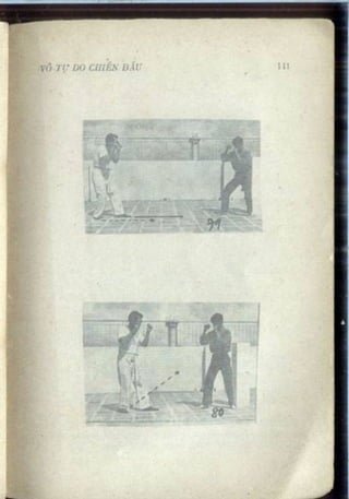 Võ tự do chiến đấu