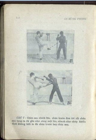 Võ tự do chiến đấu