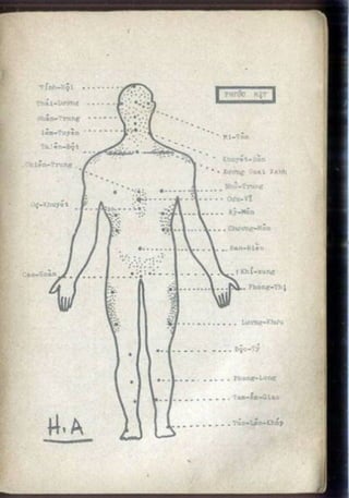 Võ tự do chiến đấu