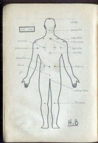 Võ tự do chiến đấu