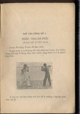 Võ tự do chiến đấu