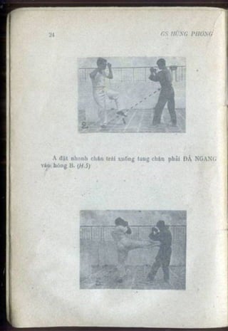 Võ tự do chiến đấu