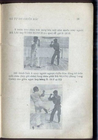 Võ tự do chiến đấu