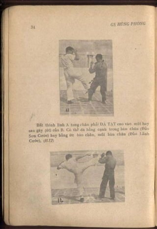 Võ tự do chiến đấu