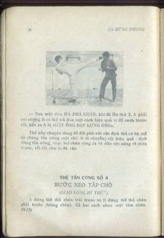 Võ tự do chiến đấu