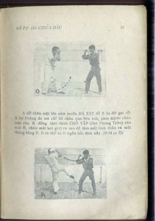 Võ tự do chiến đấu