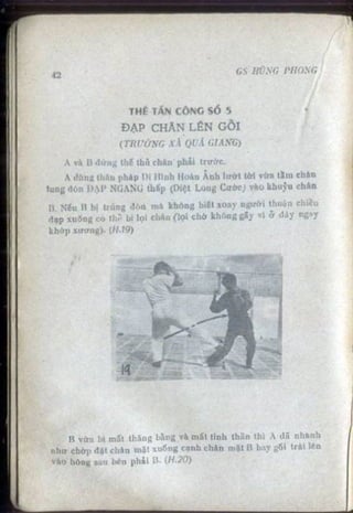 Võ tự do chiến đấu