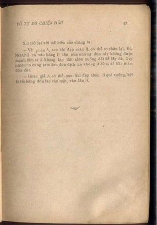 Võ tự do chiến đấu