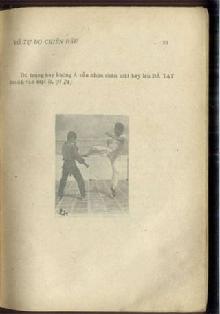 Võ tự do chiến đấu