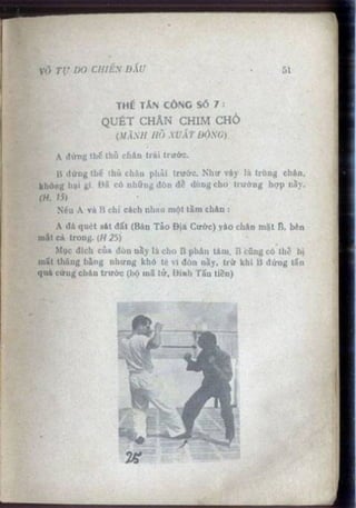 Võ tự do chiến đấu