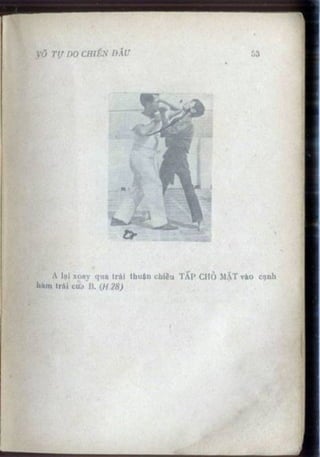 Võ tự do chiến đấu