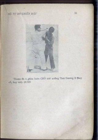 Võ tự do chiến đấu