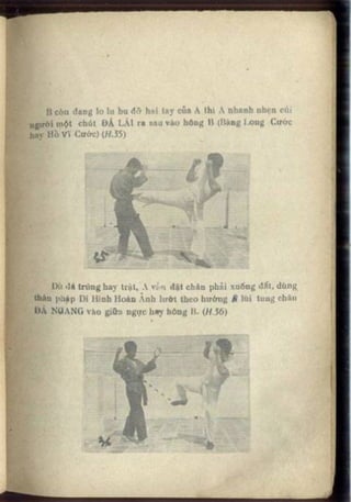 Võ tự do chiến đấu