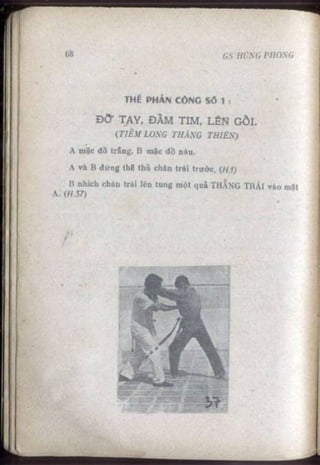 Võ tự do chiến đấu