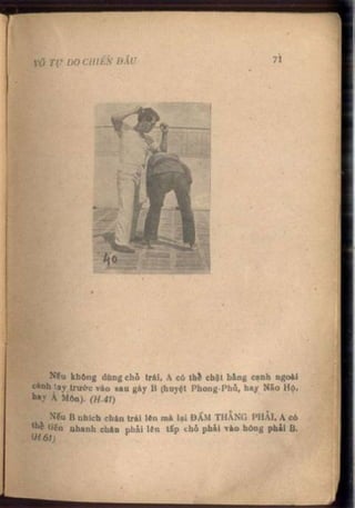 Võ tự do chiến đấu