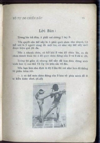 Võ tự do chiến đấu