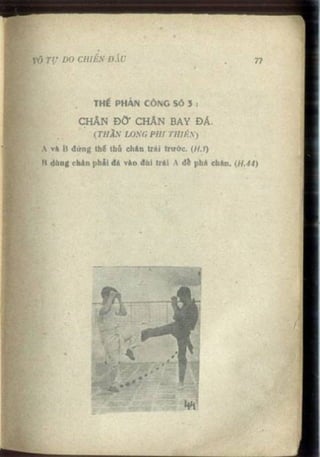 Võ tự do chiến đấu