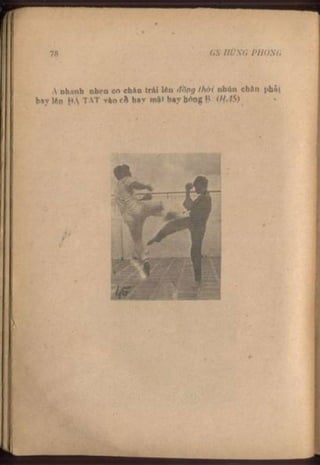 Võ tự do chiến đấu