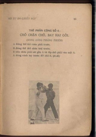 Võ tự do chiến đấu