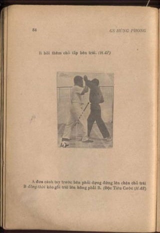 Võ tự do chiến đấu