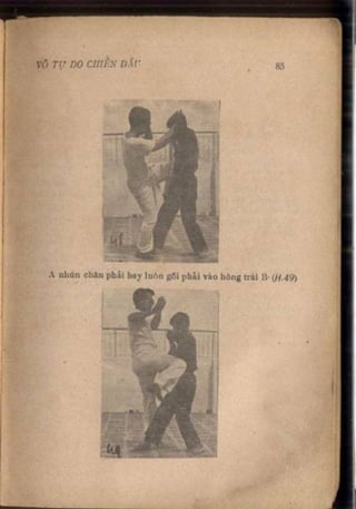 Võ tự do chiến đấu