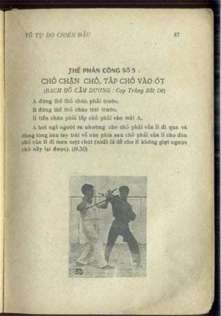 Võ tự do chiến đấu