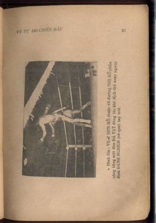 Võ tự do chiến đấu