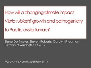 How will a changing climate impact
Vibrio tubiashii growth and pathogenicity
to Pacific oyster larvae?

Elene Dorfmeier, Steven Roberts, Carolyn Friedman
University of Washington | S A F S




PCSGA – NSA Joint Meeting 9-21-11
 