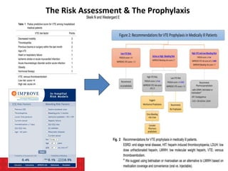 The Risk Assessment & The Prophylaxis
 