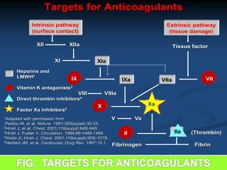 IX VII
X
II
Intrinsic pathway
(surface contact)
XII XIIa
XI
Tissue factor
IIa
Xa
XIa
IXa VIIa
VIII VIIIa
Extrinsic pathway
(tissue damage)
Xa
V Va
Fibrinogen Fibrin
Heparins and
LMWH2
Vitamin K antagonists3
Direct thrombin inhibitors4
Factor Xa inhibitors5
(Thrombin)
IIa
Targets for Anticoagulants
1Adapted with permission from
Petitou M, et al. Nature. 1991;350(suppl):30-33.
2Hirsh J, et al. Chest. 2001;119(suppl):64S-94S.
3Hirsh J, Fuster V. Circulation. 1994;89:1449-1468.
4Weitz JI, Hirsh J. Chest. 2001;119(suppl):95S-107S.
5Herbert JM, et al. Cardiovasc Drug Rev. 1997;15:1.
 