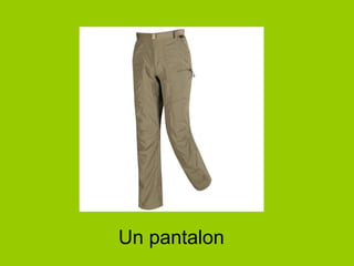 Un pantalon