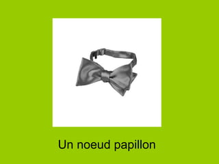 Un noeud papillon