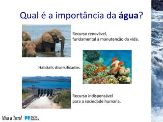 Qual é a importância da água?
Habitats diversificados.
Recurso renovável,
fundamental à manutenção da vida.
Recurso indispensável
para a sociedade humana.
 