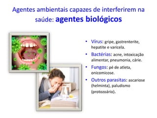 Agentes ambientais capazes de interferirem na
saúde: agentes biológicos
• Vírus: gripe, gastrenterite,
hepatite e varicela.
• Bactérias: acne, intoxicação
alimentar, pneumonia, cárie.
• Fungos: pé de atleta,
onicomicose.
• Outros parasitas: ascariose
(helminta), paludismo
(protozoário).
 