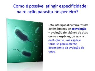 Como é possível atingir especificidade
na relação parasita-hospedeiro?
Esta interação dinâmica resulta
de fenómenos de coevolução
– evolução simultânea de duas
ou mais espécies, ou seja, a
evolução de uma espécie
torna-se parcialmente
dependente da evolução da
outra.
 