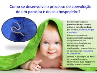 Como se desenvolve o processo de coevolução
de um parasita e do seu hospedeiro?
• Existem seres vivos que
parasitam o corpo humano,
usando-o como hospedeiro,
por exemplo, bactérias, fungos
e lombrigas.
• Infetam o hospedeiro e
desenvolvem estratégias para
ultrapassarem os seus
mecanismos de defesa, que
também vão sendo
aperfeiçoados para combaterem
os parasitas, num mecanismo
de coevolução.
• Quando as estratégias de defesa
do parasita têm sucesso
relativamente às do hospedeiro,
este fica infetado e doente.
 