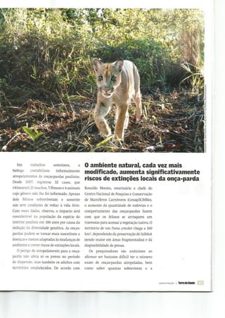 VÍTIMAS DOS MOTORISTAS