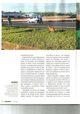 VÍTIMAS DOS MOTORISTAS