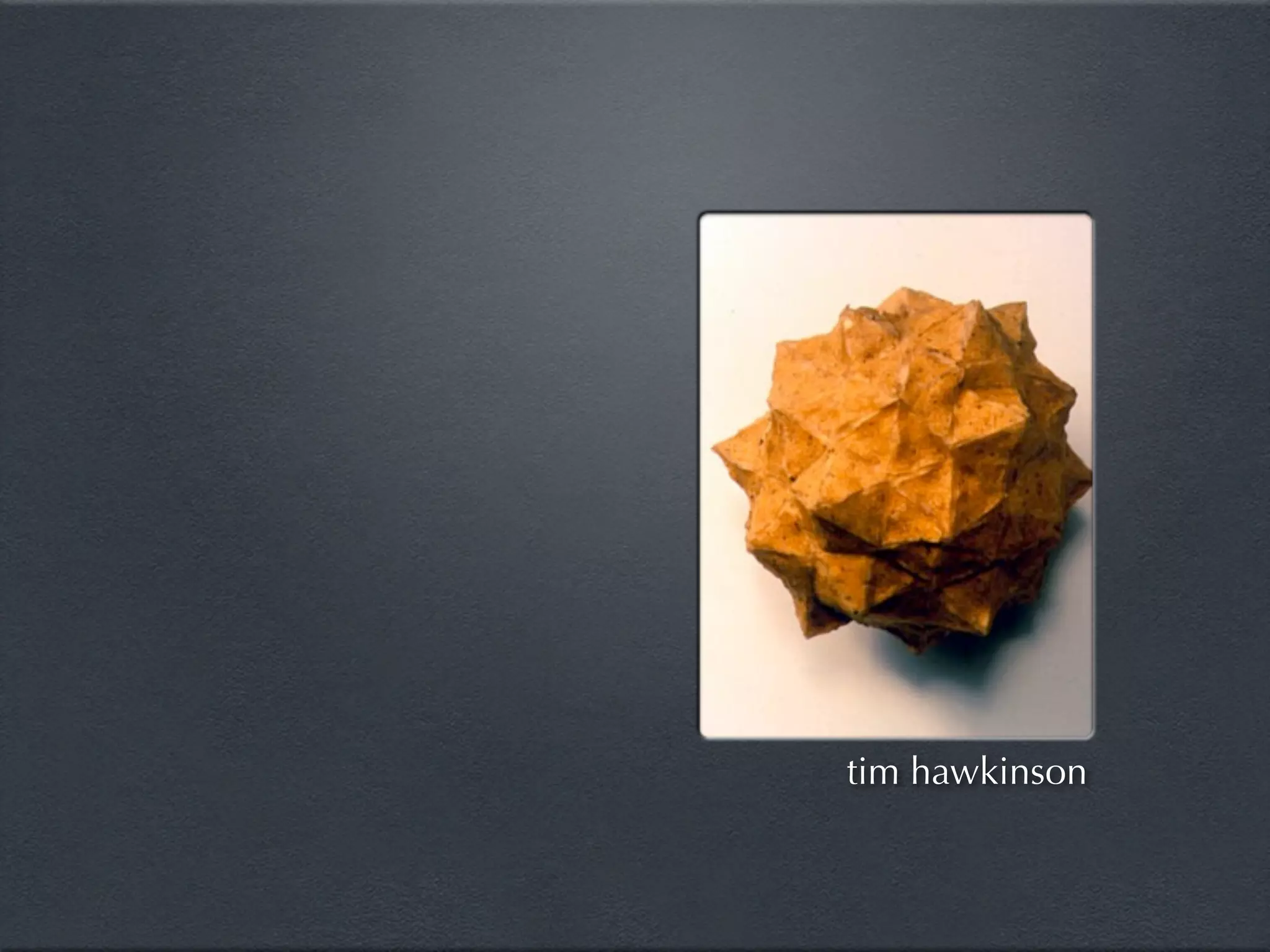 tim hawkinson
 