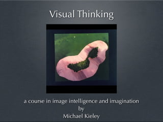 Visual Thinking




a course in image intelligence and imagination
                      by
                Michael Kieley
 