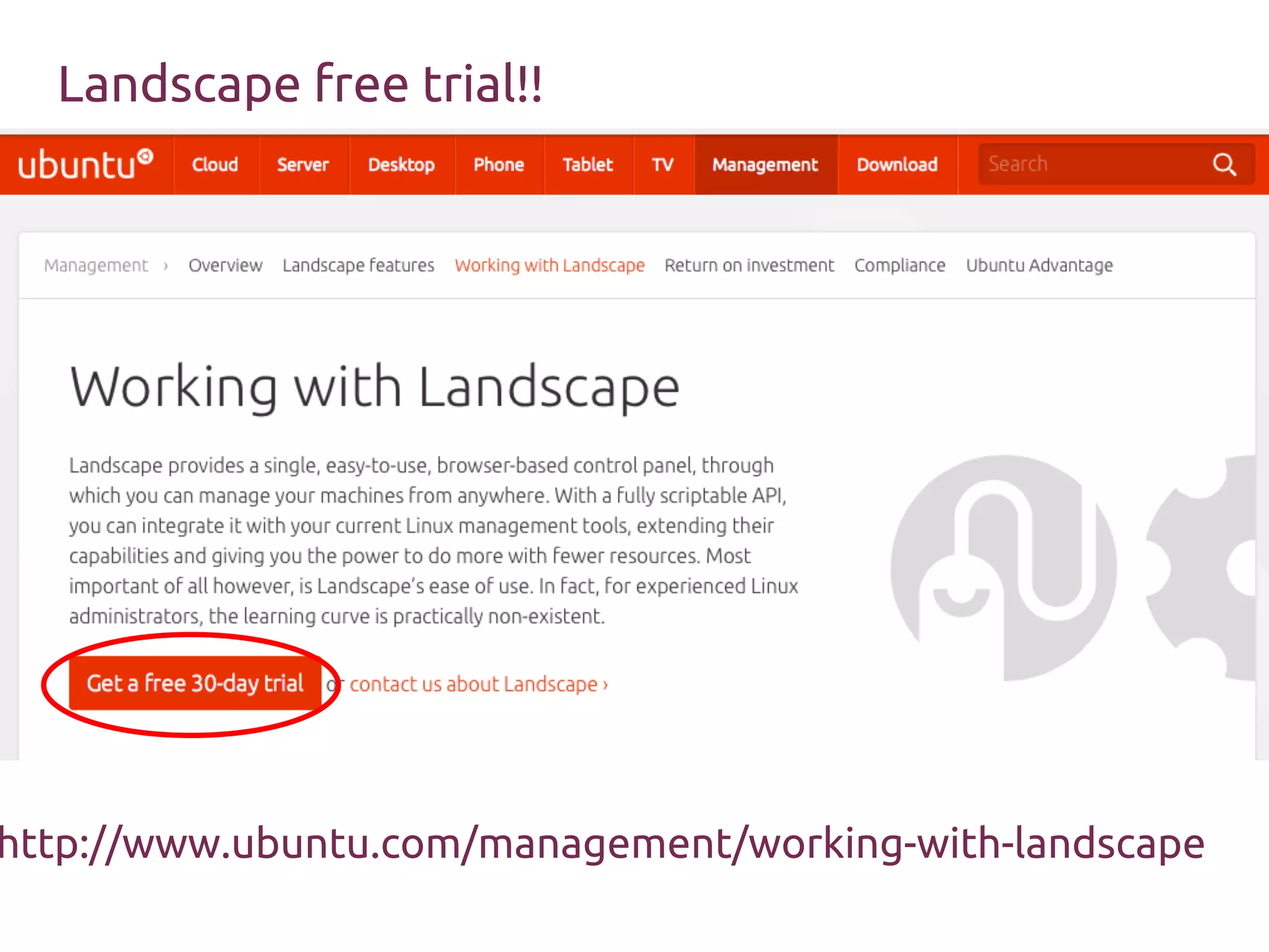 Canonical サポートモデル
6
 